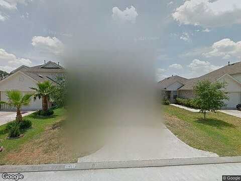 Siberian Elm, HOUSTON, TX 77073