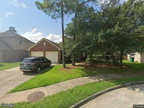 Cozy Hollow, HOUSTON, TX 77044
