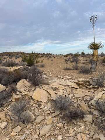4029 Fort Clark Dr., Terlingua, TX 79852