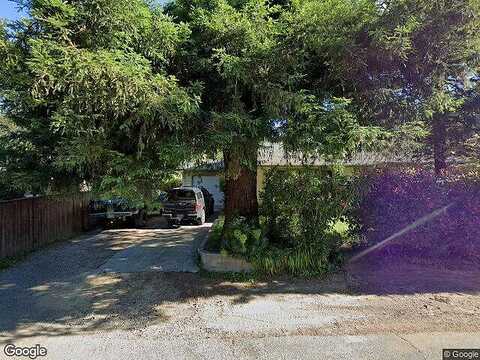 Manzanita, REDWAY, CA 95560