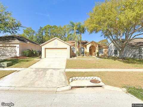Amethyst, VALRICO, FL 33594