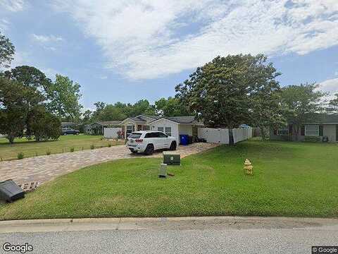 Dolphin, PONTE VEDRA BEACH, FL 32082
