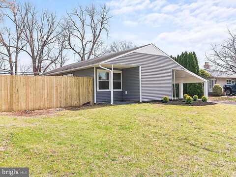 Bald Cypress, LEVITTOWN, PA 19054