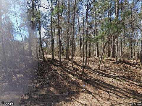 Highway 155, STOCKBRIDGE, GA 30281