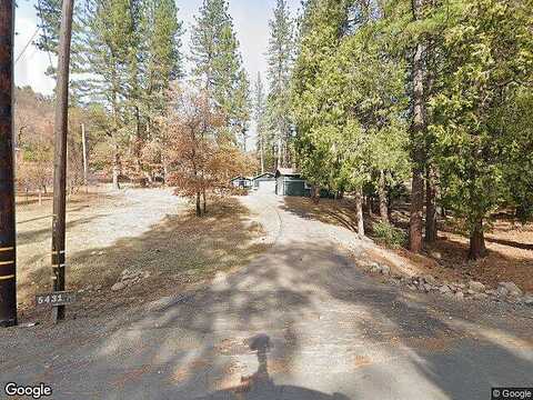 Shooting Star, POLLOCK PINES, CA 95726