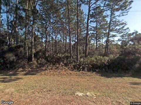 Cashew, EUSTIS, FL 32736