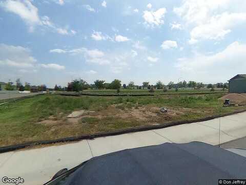 Ginkgo, WELLINGTON, CO 80549