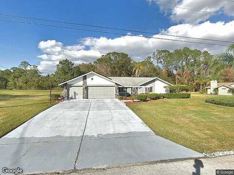 Dolphin Lake, ZEPHYRHILLS, FL 33541
