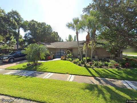 Pattie, PALM HARBOR, FL 34685