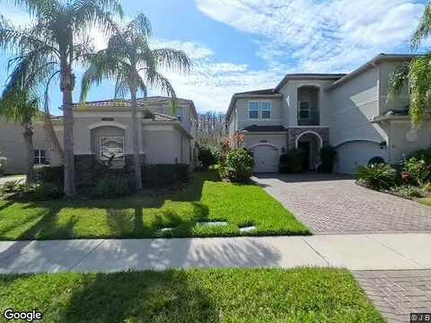 Spruceberry, WESLEY CHAPEL, FL 33543