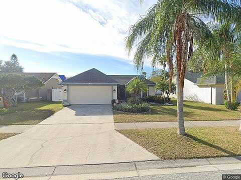 Cara, PALM HARBOR, FL 34684