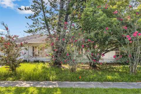 Palm, KISSIMMEE, FL 34741