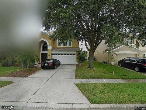 Liriope, WESLEY CHAPEL, FL 33544
