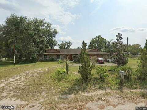 Brandy, LAND O LAKES, FL 34639
