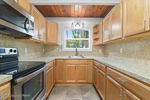 Palomino, TOBYHANNA, PA 18466