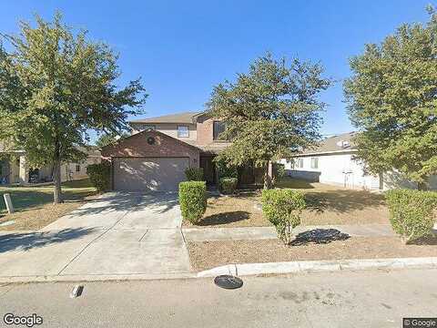 Hawks, SCHERTZ, TX 78154