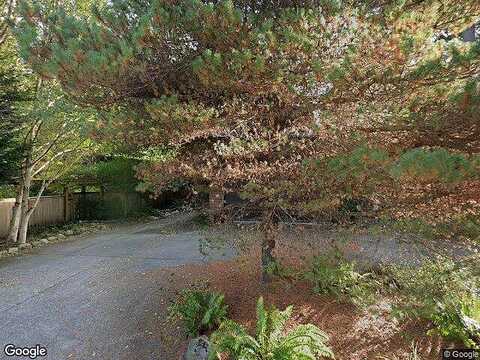 Willow, BAINBRIDGE ISLAND, WA 98110