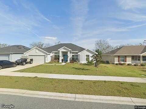 Angel Fish, LEESBURG, FL 34748