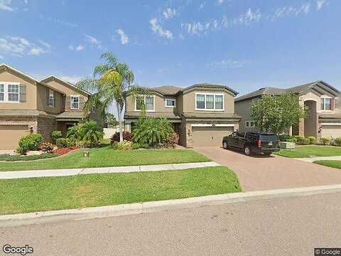 Nature View, LUTZ, FL 33558