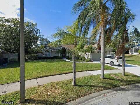 Mcauliffe, PALM HARBOR, FL 34683