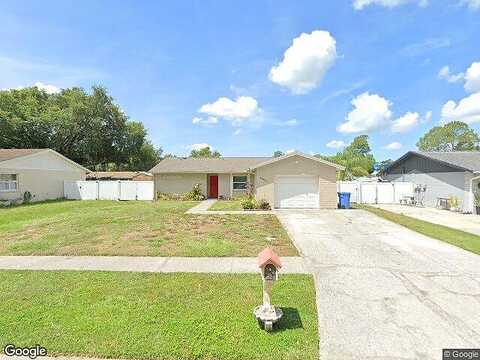 Pathfinder, TAMPA, FL 33625