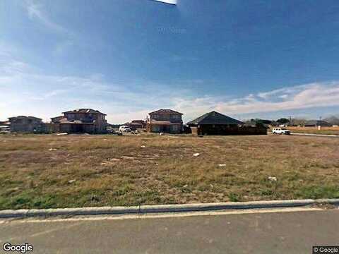 Pheasant, SAN JUAN, TX 78589