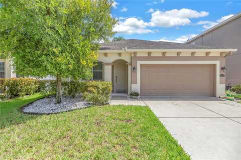 Quiet Forest, TAMPA, FL 33635