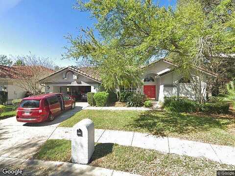 Hounds, SAFETY HARBOR, FL 34695