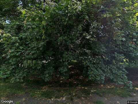 Sugar Maple, HERNDON, VA 20170