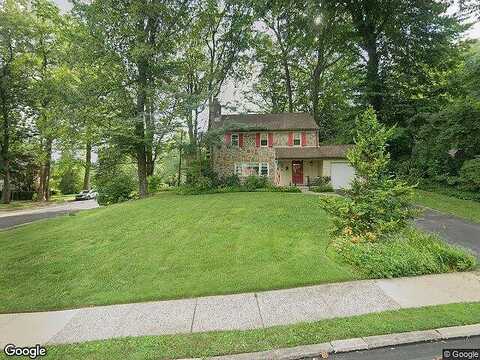 Old Forest, WYNNEWOOD, PA 19096