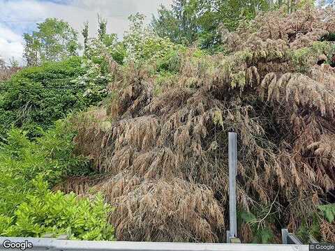 Overlake, MEDINA, WA 98039