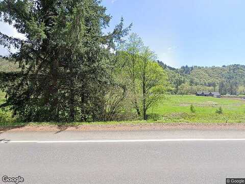419Th, AMBOY, WA 98601