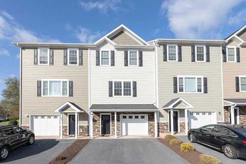 Bluemoon, ROCKINGHAM, VA 22801