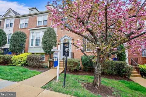 Readington, SPRINGFIELD, VA 22152