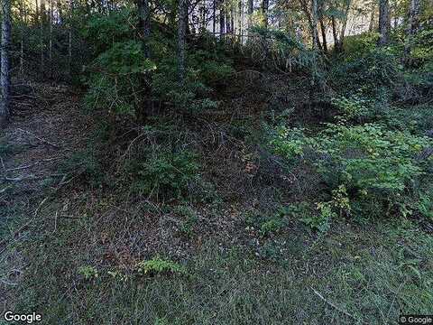 Briceland-Thorne, WHITETHORN, CA 95589