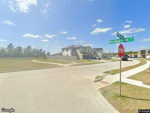 Northpark Lake, PORTER, TX 77365