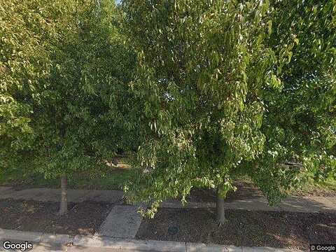 Green Ash, DALLAS, TX 75243