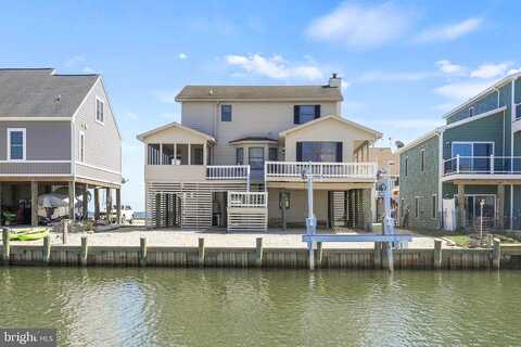 Blackbeard, GREENBACKVILLE, VA 23356