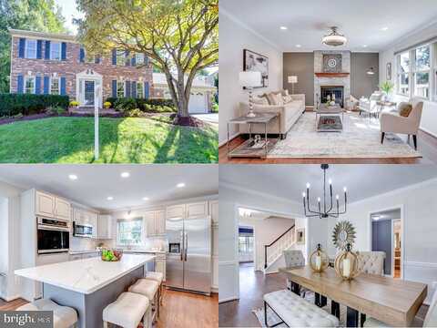 Golden Aspen, SPRINGFIELD, VA 22153