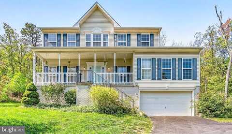 Fox, WINCHESTER, VA 22602