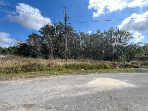 Nelson Park, KISSIMMEE, FL 34759