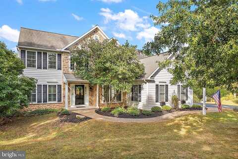 Blossom, POTTSTOWN, PA 19465