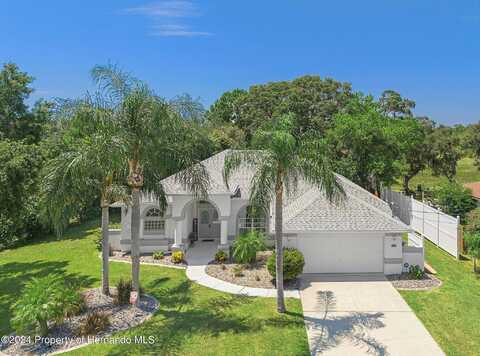 Waterfall, SPRING HILL, FL 34608