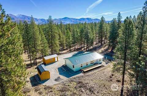 Chokecherry, WINTHROP, WA 98862