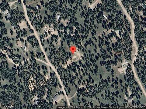 Chokecherry, WINTHROP, WA 98862