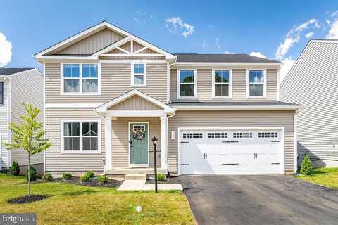 Walsh, WAYNESBORO, VA 22980