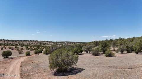 000 Ataway Road, Seligman, AZ 86337