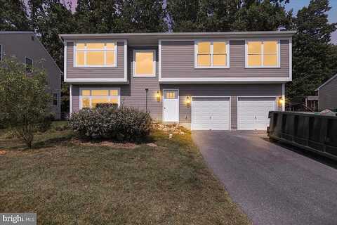 Saylor, TEMPLE, PA 19560