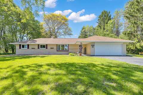 Elm, GERMANTOWN, WI 53022