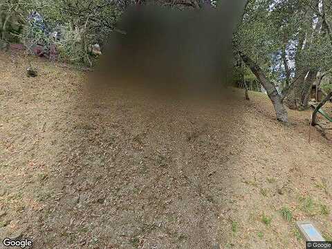 Live Oak, MILL VALLEY, CA 94941